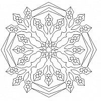snowflake complex 2